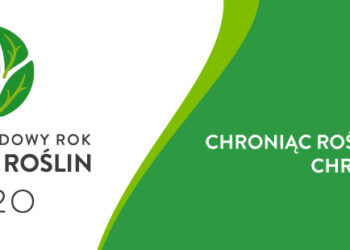 Chroniąc rośliny, chronisz życie