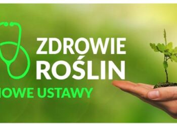 Zdrowie roślin – dwie nowe ustawy