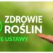 Zdrowie roślin – dwie nowe ustawy