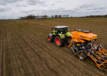 JAK URATOWAĆ PLONY PRZED SUSZĄ?