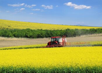 Owady zapylające a stosowanie środków ochrony roślin