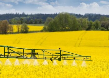 Światowy Dzień Pszczół