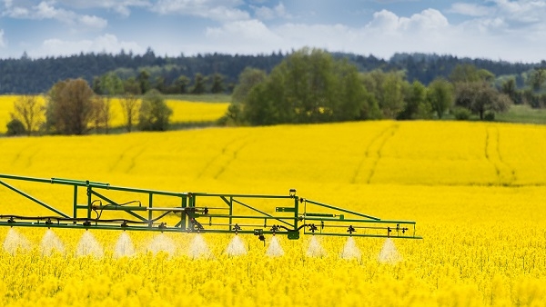 Working spraying machine in yellow canola land. Spring landscape. Chemical fertilizers, toxic pesticides, insecticides. Ecology