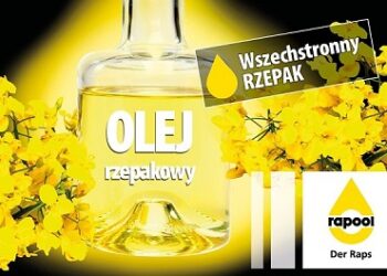 Wszechstronny rzepak