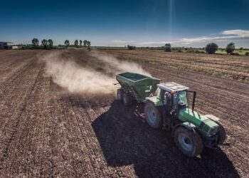 Wapno nawozowe pomoże w walce z suszą na polskich polach