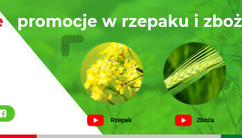 INNVIGO zaprasza i zapowiada jesienne promocje