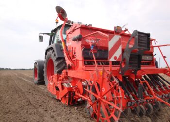 Siew rzepaku ozimego w Wielkopolsce