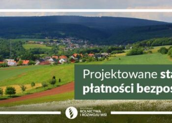 Projektowane stawki płatności bezpośrednich za 2020 r.