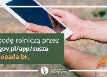 Wnioski o oszacowanie strat spowodowanych przez suszę za pomocą aplikacji