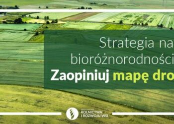 Strategia na rzecz bioróżnorodności 2030 – zaopiniuj mapę drogową