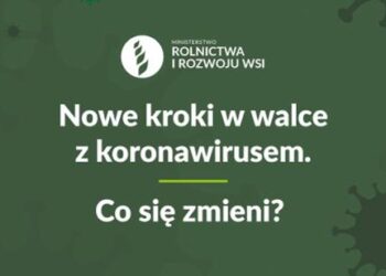 Nowe kroki w walce z koronawirusem. Co się zmieniło?