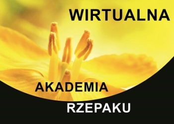 Akademia Rzepaku – Ocena stanu roślin