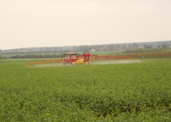 Bezpieczne stosowanie środków ochrony roślin