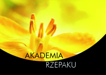 Akademia Rzepaku