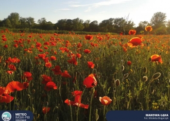 Prognoza synoptyczna dla Polski – 30 tydzień 2021 r.