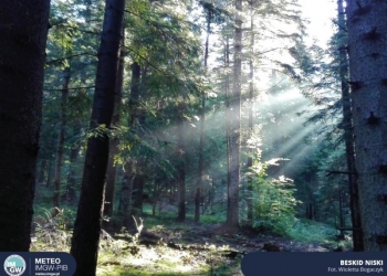 Synoptyczna prognoza pogody 23-29.08.2021 r.