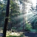 Synoptyczna prognoza pogody 23-29.08.2021 r.