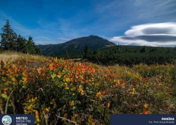 Prognoza pogody na najbliższy tydzień