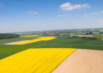 Startuje wypłata zaliczek na poczet dopłat bezpośrednich oraz płatności obszarowych z PROW