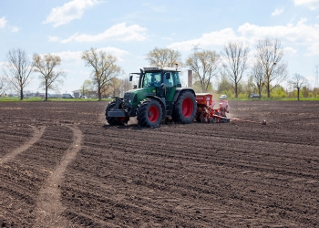 Systemy uprawy roli pod kukurydzę