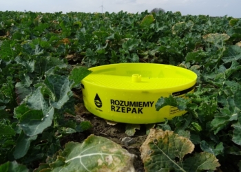 Pierwsze słodyszki w żółtych naczyniach – komunikat IOR