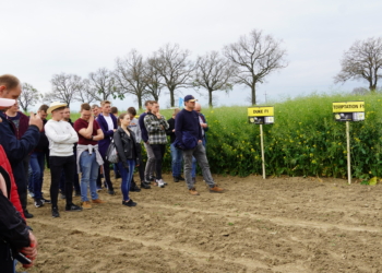 Akademia Rzepaku, 24.05.2022 r. – kolekcja odmian rzepaku