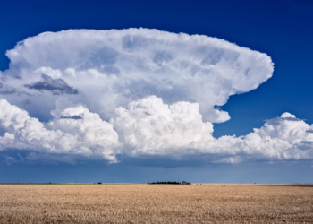 Chmury – co można z nich wyczytać