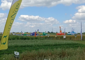 Kujawsko-Pomorskie Dni Pola w Minikowie