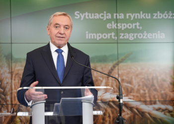 Sytuacja na polskim rynku zbóż