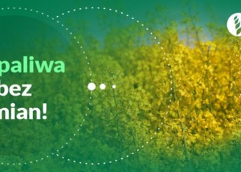 Nie będzie zmiany przepisów dotyczących biopaliw