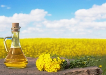 Ceny rzepaku w umowach terminowych – 16.11.2022