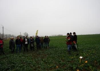 Akademia Rzepaku – galeria zdjęć