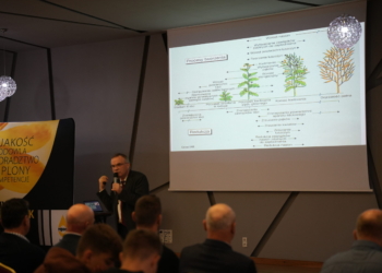 Strategia wiosennego nawożenia rzepaku