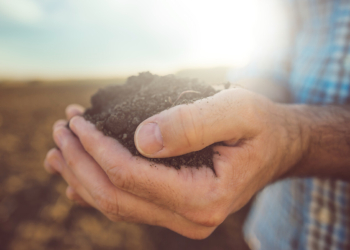 Inwestycje w zrównoważony rozwój