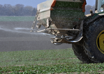 W 10 województwach można już stosować azot na oziminy!