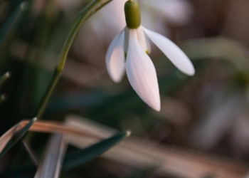 Prognoza pogody na najbliższy tydzień (13-19.03.2023)