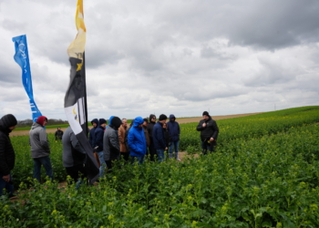 Odkrywka glebowa na Akademii Rzepaku