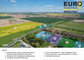 Międzynarodowy Dzień Rzepaku „EURORZEPAK 2023″