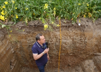 Gleba podstawą budowy dobrego plonu