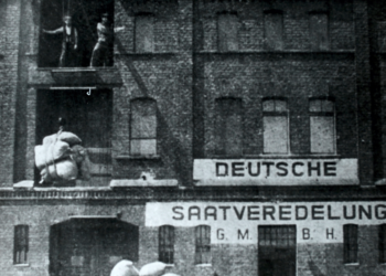 „Zejdźmy z powrotem na ziemię” – 100 lat DSV