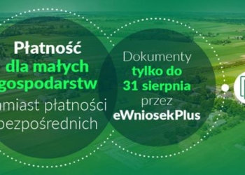 Płatność dla małych gospodarstw