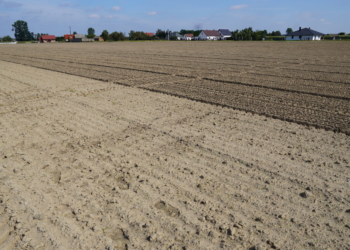 Biologiczna szansa na przywrócenie równowagi w glebie