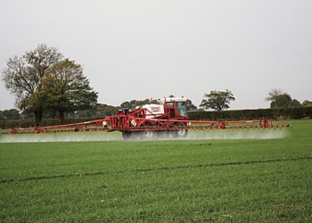 Zwalczanie chwastów w zbożach