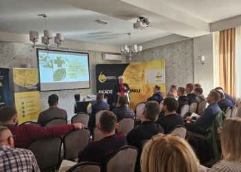 Bieżąca sytuacja na polach rzepaku oraz zalecenia ochrony – Akademia Rzepaku