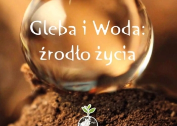 „Gleba i Woda: źródło życia” – Światowy Dzień Gleby