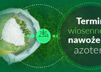 Termin wiosennego nawożenia azotem