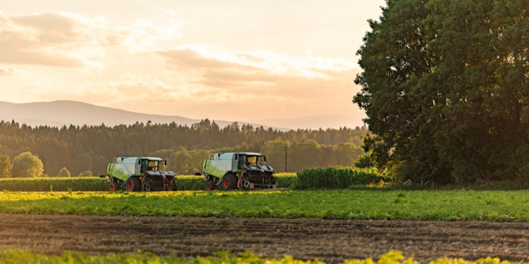 Large combine harvesters standing in agricultural field at summertime after day work.