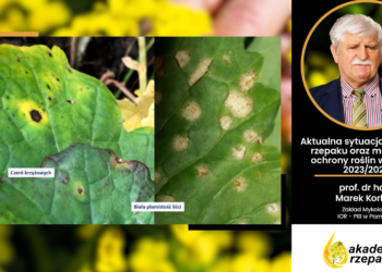 Akademia Rzepaku 2024 – Sesja Ochrona online