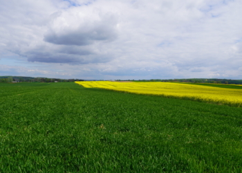 Prognoza pogody od 26 kwietnia do 1 maja – komunikat IMGW