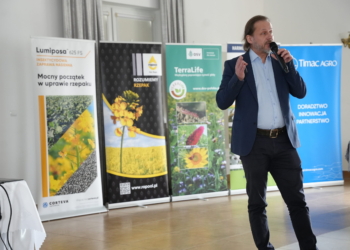 Zaprawianie nasion to podstawa w ochronie rzepaku przed szkodnikami